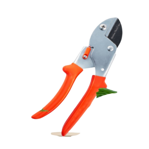 GOLDEN BULLET ANVIL PRUNER - APR 1