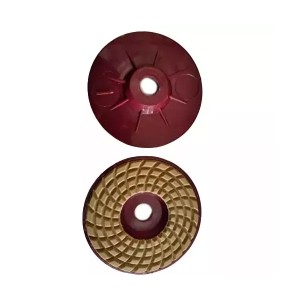 AKARI DIAMOND POLISHING PAD (VELCRO) 100#